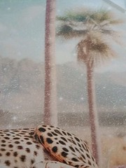 2 Prints on Canvas • 1 Leopard & 1 Tiger • Art Remedy by Oliver • New