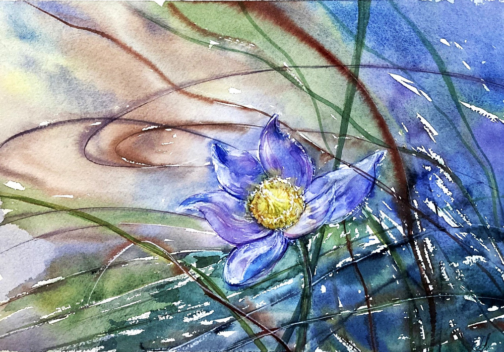 Unique Floral Watercolor Botanical Painting – Crocus Flower – Original Painting