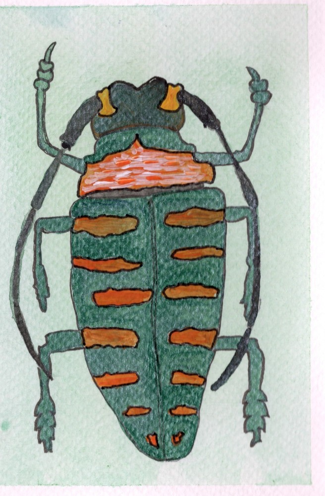 ACEO Limited Edition Art Print Nature Numbered Prints Watercolor Ink 1 of 12