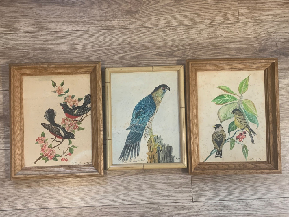 H. Abbaticchio Original Watercolor Bird Paintings Set 3 Goldfinch Redstart Hawk