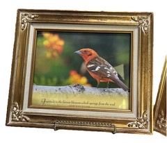 Vintage Ornate Gold Bird Art Frames Featuring Lovely Bird Prints & Quotes Set 2