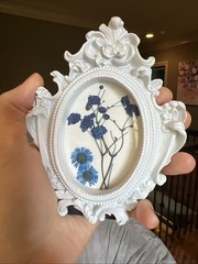 Dried Flowers ,real,cute,original,miniature small,mini,framed
