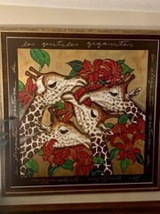 Luis Sottil Giraffes Original Naturalismo Artwork Hand Signed Framed 78” X 78”