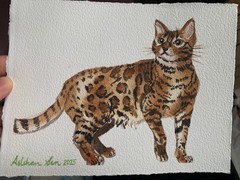 Original watercolor painting Cute Bengal Cat kitten wall art 5×7 pet artwork