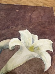 Antique Watercolor Painting on Paper 30s Brazilian Edwiges Jacobusich- Flower