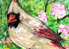 ORIGINAL ACEO BIRD Painting Female Northern CARDINAL Spring Nature Bird ATC ART
