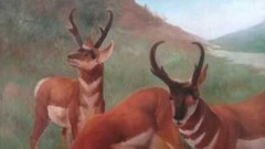 FINE ART Antique Oil canvas painting / Landscape Realist Art / Very Beautiful
