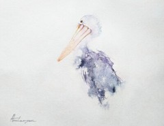 Pelican, Birds, Watercolor artwork,Handmade, Original painting on paper