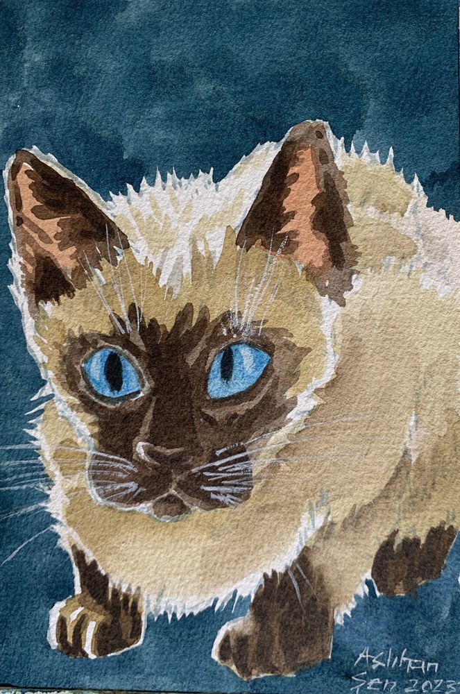 Original watercolor painting Siamese Kitten Cat 7.5×5.5” pet portrait