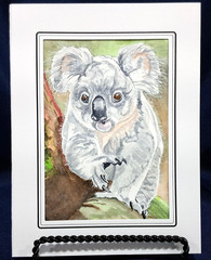 Australian Koala 7″ x 5″ Original watercolor comes in acid free sleeve