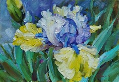 Original Modern Oil Painting Canvas Cardboard Yellow-blue iris with green 9х13″
