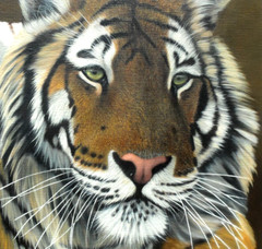 Jonathan Truss – Original Oil Painting – A Portrait of Two Tigers.