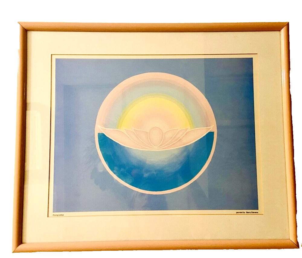 Barry Stevens Flying Lotus Mandala Digital Art Painting Framed & Matted 21 x 17