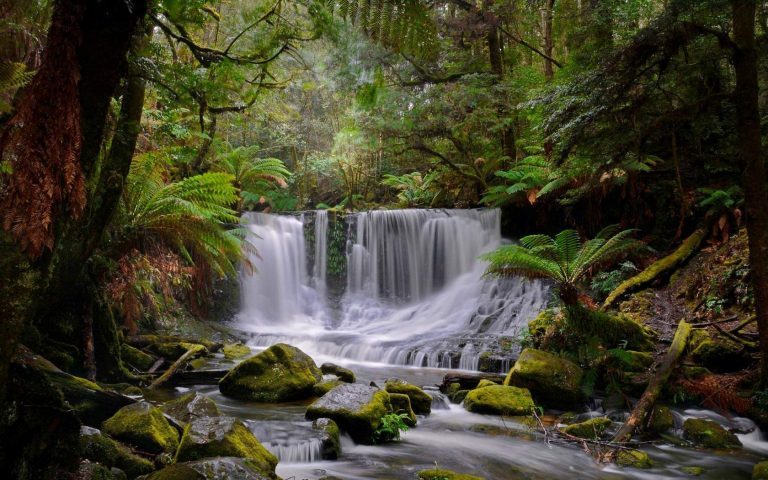 beautiful waterfall mountain Scenery 100% quality Canvas Print wall home Decor