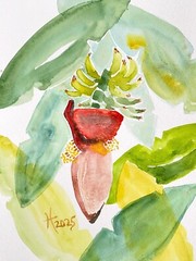 Tropical Delight Original Art Banana Tree Watercolor Painting Matted 11x14in