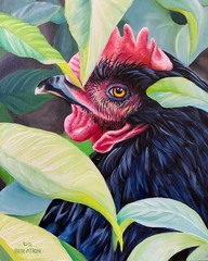 Chicken Portrait Realistic Original Oil Painting on Panel 8×10″ – Framed 12×13″
