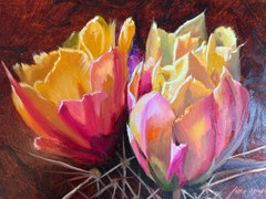 Listed Artist John Cox (1941- ) CACTUS FLOWERS Original Oil Painting 8×6″ 2014