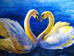 Original Watercolor Painting Couple White Swan Lake Bird Feathers 5×7 Art