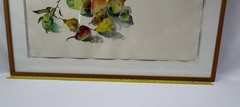 Bernard Chaet -“Pears” August 1981 Framed watercolor-graphite on paper