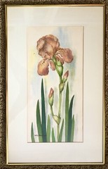 Artist NELLY DEACHMAN Original IRIS Watercolor Painting x2 ORANGE & YELLOW PAIR