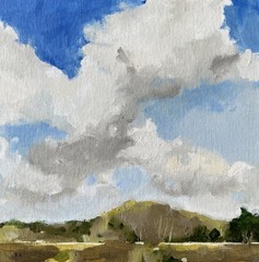 Oil Painting OOAK Everglades Florida Landscape Clouds Collect Fine Art