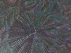 Joy Purvis Petyarre ,Authentic Aboriginal Art, Size; 100 x 50cm Bush Yam Seeds.