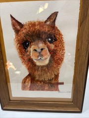 Original Water colored Painting of Alpaca Smiling. Wooden Frame.