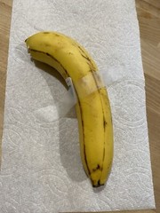 Real Banana Art