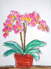 ACEO PINK ORCHID FLOWERS FLORAL Still Life Painting Art