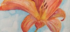 watercolor paintings original