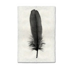 20×30 Feather Print . Feather Study # 6 goose. On Nepalese Paper.