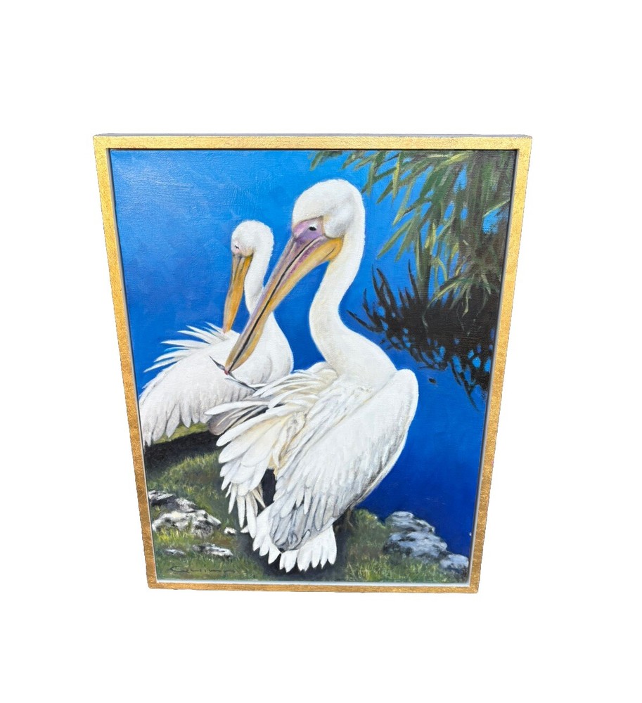 WHITE PELICAN PAINTING ART PELICANS REALISM BIRD TROPICAL BY THOMAS J. QUINN
