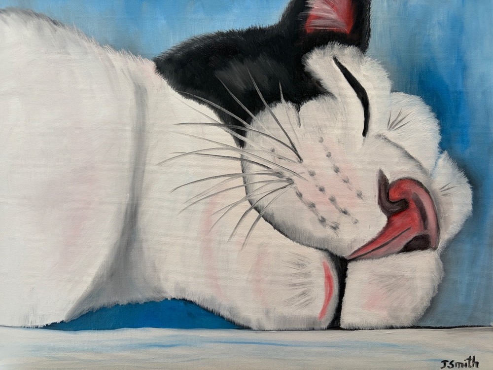 Original oil painting signed 11 x 14 in cute white and black cat sleeping