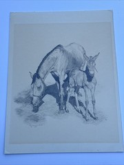 HORSE FAMILY DRAWING HORSES REALISTIC REALISM SHERI GREVES LISTED VINTAGE FAMOUS