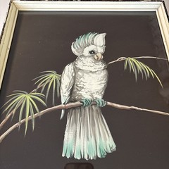 MCM Framed VTG Colorful Cockatoo Bird Painting Tropical Unsigned 14.75”x 11.75”
