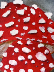 Original watercolor painting „RED BRIGHT FLY AGARIC“ miniature 18x13cm art gift.