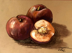 fruits Pastel Painting Drawing Dorothy Laz kor 23