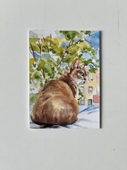 NEW!! ACEO CAT Artist Card Print Of Original Signed Watercolor