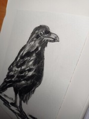 Original Painting Black raven Drawing Wall Art 6 x 8″