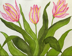 PAINTING WATERCOLOR 11X14 AND BLACK MAT 16X20 FLOWER TULIP PINK YELLOW GREEN ART