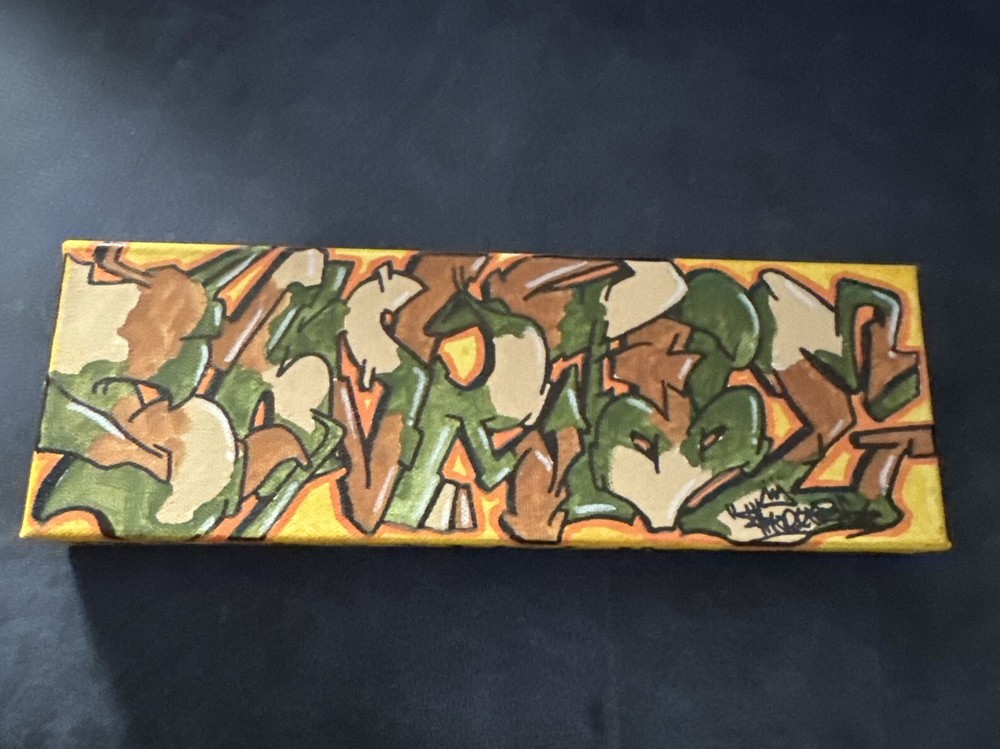 12 X 4 In. Canvas Shortiez Ink Art Painting Gallery Decor Graffiti Camo