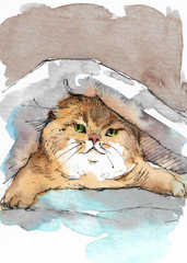 Custom Pet Portrait ACEO Original Miniature Art 2.5×3.5″ Watercolor Dog Cat OOAK