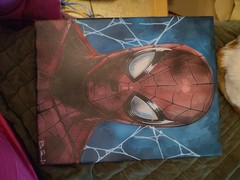 Spider-man Painting 11×14 Laser Engraved