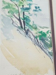Original Watercolor Painting North Carolina Mountainside Signed by Artist Framed