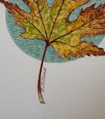 Original Painting Maple Leaf Fall Autumn Botanical By Gilliland Watercolor Mixed