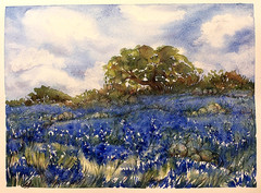 Original Watercolor Painting Texas Bluebonnets Landscape Wildflower Field Art