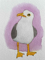 ACEO Funny Seagull Watercolor Bird Painting Miniature Collectible Original Art