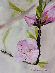 original watercolor painting gorgeous pink flowers blossom branch in bokeh style