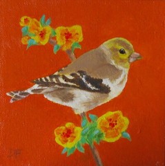 „AMERICAN GOLDFINCH“ Original Art Oil Painting 6×6 Bird Flowers by Donna Francis