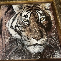 Tiger Framed Art 17.5 x 17.5” Wildlife Wall Hanging Home Decor